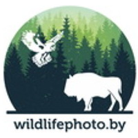 Фотография Александр Пекач (Aleksandr Pekach) Портрет фотографа (аватар) Александр Пекач (Aleksandr Pekach)