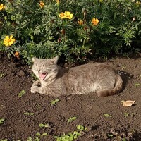 Портрет фотографа (аватар) Галия Гайсина (Galiya Gaisina)