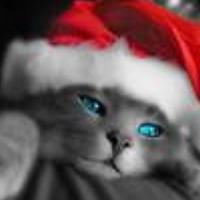 Портрет фотографа (аватар) Михаил