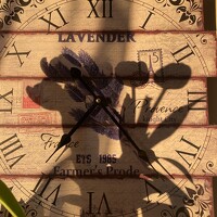 Портрет фотографа (аватар) kotka