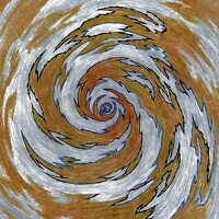 Портрет фотографа (аватар) VITALIY DYADICH