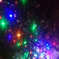 Портрет фотографа (аватар) Людмила Михайловна Коренюгина