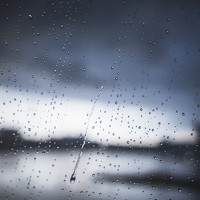 Портрет фотографа (аватар) fhvfy vervre