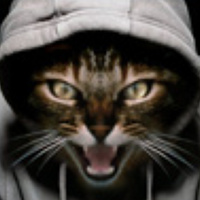 Портрет фотографа (аватар) Alex