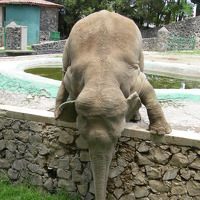 Портрет фотографа (аватар) Isaac Asch (ISAAC DAVID ASCH)