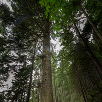 Портрет фотографа (аватар) Martin Novak