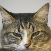 Портрет фотографа (аватар) Smith (William)