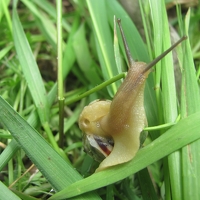 Портрет фотографа (аватар) Виктор