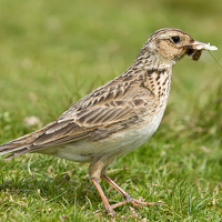 Портрет фотографа (аватар) Астанафотодом (Astanafotodom)