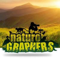 Портрет фотографа (аватар) KARTHICK KUMAR (Karthick)