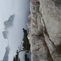 Портрет фотографа (аватар) Яковенко Виктория