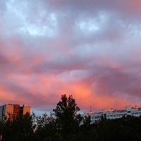 Фотография Елена Портрет фотографа (аватар) Елена