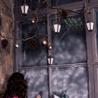 Портрет фотографа (аватар) Шевчук Елена Константиновна