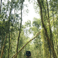 Портрет фотографа (аватар) Phuoc Dung Nguyen (Nguyen Phuoc Dung)