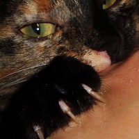 Портрет фотографа (аватар) Виталий