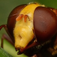 Фотография Михаил Колтухов (Mikhail Koltukhov) Портрет фотографа (аватар) Михаил Колтухов (Mikhail Koltukhov)
