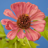 Портрет фотографа (аватар) Foto Fed