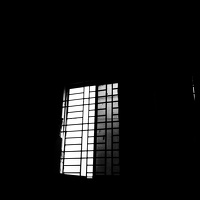 Портрет фотографа (аватар) Shib Shankar Chowdhury (শিব শংকর চৌধুরী)