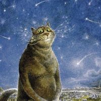 Портрет фотографа (аватар) Вазих