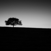 Портрет фотографа (аватар) Joao Martinho (Joao Martinho Silva)