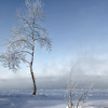 Светлана Крат