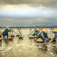 Портрет фотографа (аватар) Gaye Slade