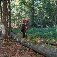 Портрет фотографа (аватар) Александр