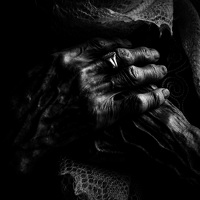 Портрет фотографа (аватар) Shnara