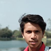 Портрет фотографа (аватар) Biswajit Chanda