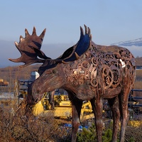 Портрет фотографа (аватар) Дмитрий (Dmitry)