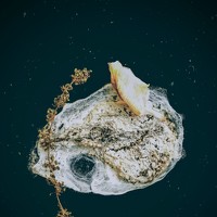 Портрет фотографа (аватар) Сергей Хлебко (Sergey Khlebko)