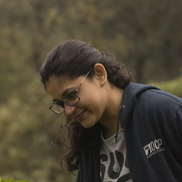 Портрет фотографа (аватар) Shaiphali Sharma