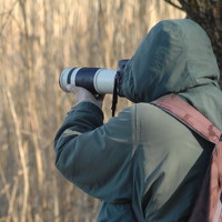 Портрет фотографа (аватар) Desanka Kocoljevac