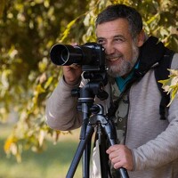 Портрет фотографа (аватар) Михаил Домешек (Michael Domeshek)