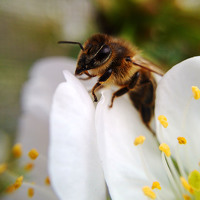 Портрет фотографа (аватар) Ольга Дорошенко (OLGA DOROSHENKO)