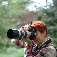 Портрет фотографа (аватар) Колосова Елена (Elena Kolosova)