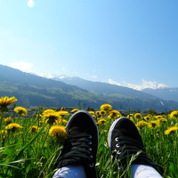 Портрет фотографа (аватар) Diana Badmaeva