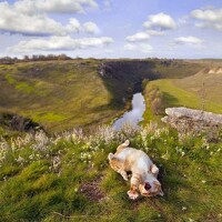 Портрет фотографа (аватар) sil84