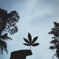Портрет фотографа (аватар) Praveen Prakash