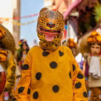 Портрет фотографа (аватар) Mario Barbo