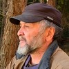 Александр Жарников