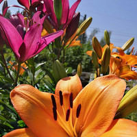 Портрет фотографа (аватар) Анна Серенко (Anna Serenko)