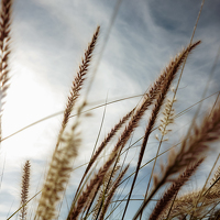 Портрет фотографа (аватар) Adrian