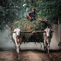 Портрет фотографа (аватар) Min San Thein