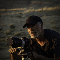 Портрет фотографа (аватар) Ali Zeki Kaya