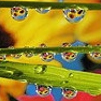 Портрет фотографа (аватар) Иннокентий (Осеев)