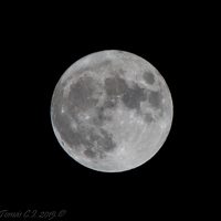 Портрет фотографа (аватар) Tomás Cabrera