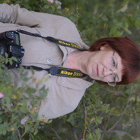 Портрет фотографа (аватар) Надежда Парфенова (nadezhda.parfenova)