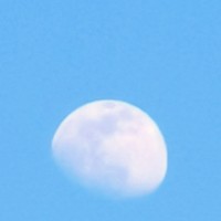 Портрет фотографа (аватар) Любовь Дорошенко (Liubov Doroshenko)