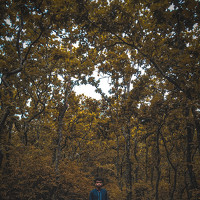 Портрет фотографа (аватар) Sabab